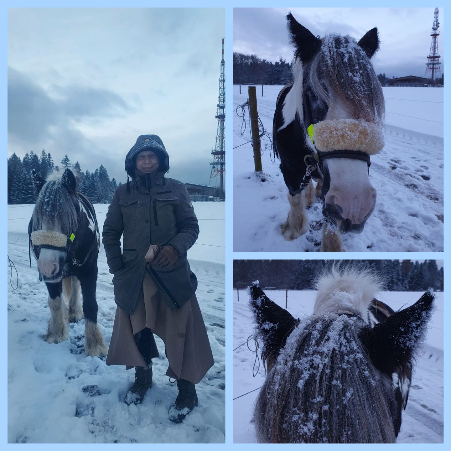 2023 11 November 627